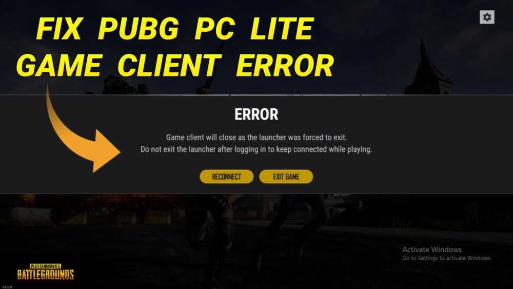 Game client will close as the launcher was forced to exit в PUBG Lite