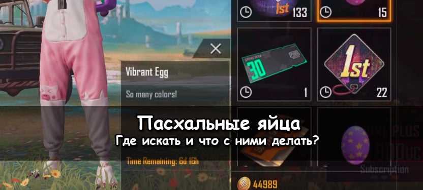 Что делать с яйцами в PUBG Mobile?